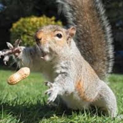 Timeline: Inventions