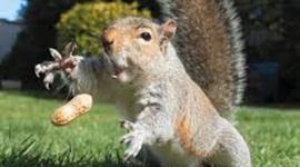 Timeline: Inventions