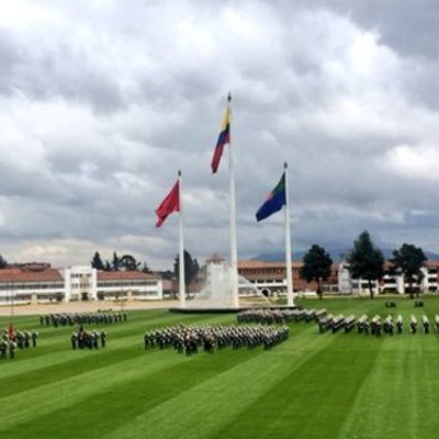 Timeline: Estado del Alicato