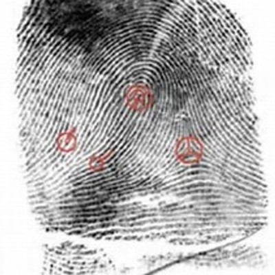 Timeline: Forensic Timeline