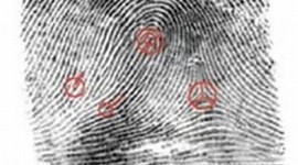 Timeline: Forensic Timeline