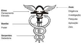 Timeline: Evolução do Profissional Contábil.