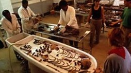 Timeline: History of Forensic Science