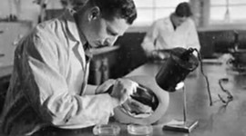 Timeline: History of Forensic Science
