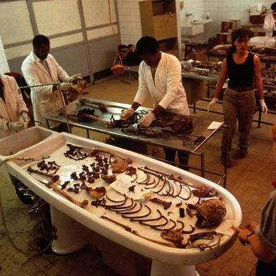 Timeline: Forensic Science & Autopsy Timeline