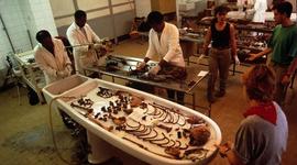 Timeline: Forensic Science & Autopsy Timeline