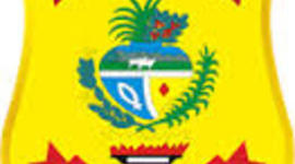 Timeline: Sistema Prisional do Estado de Goiás