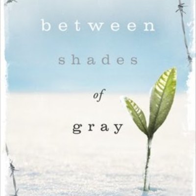 Timeline: between shades of grey