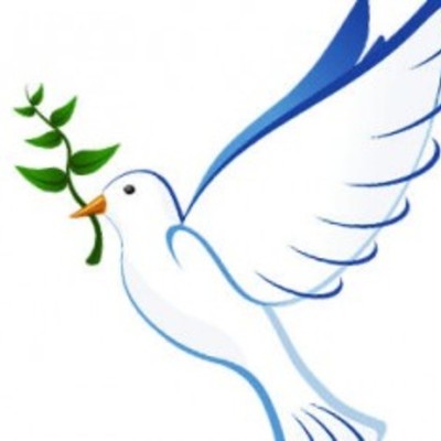 Timeline: Misiones de Paz - OEA