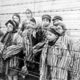 Child survivors of auschwitz.jpeg