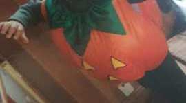 Timeline: Mi línea del tiempo