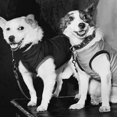 Timeline: Они были первыми