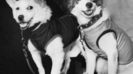 Timeline: Они были первыми