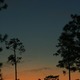Timbercreeksunset 2