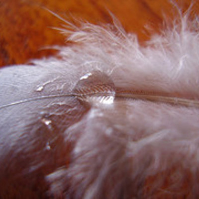 Timeline: Mi linea del tiempo