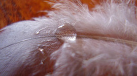 Timeline: Mi linea del tiempo