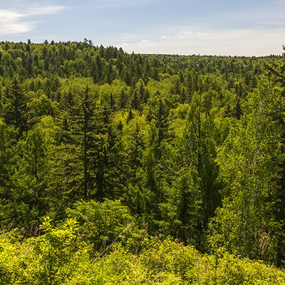Timeline: Хинганский заповедник