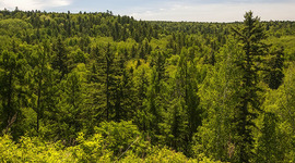 Timeline: Хинганский заповедник