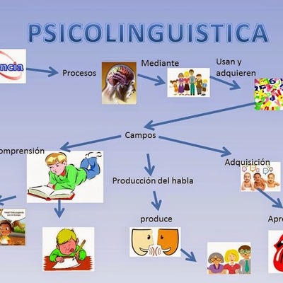 Timeline: PSICOLINGUISTICA tiene como objetivo dar cuenta de las estructuras y procesos que subyacen a la habilidad humana para hablar y comprender. Es un campo interdisciplinario que reúne los fundamentos empíricos de la psicología y de la lingüística.