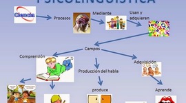 Timeline: PSICOLINGUISTICA tiene como objetivo dar cuenta de las estructuras y procesos que subyacen a la habilidad humana para hablar y comprender. Es un campo interdisciplinario que reúne los fundamentos empíricos de la psicología y de la lingüística.