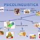 Psicolinguistica