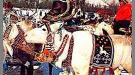 Timeline: Эвены