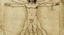 Timeline: historia de la anatomía