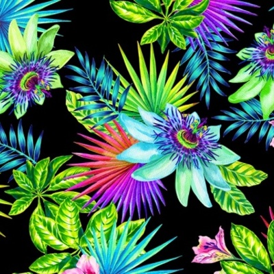 Timeline: La ALquimia