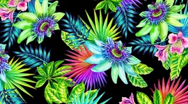 Timeline: La ALquimia