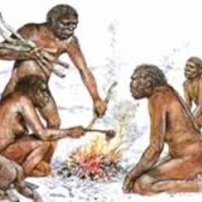 Timeline: Erika Lorena Valderrama Mora