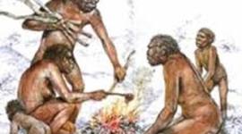 Timeline: Erika Lorena Valderrama Mora