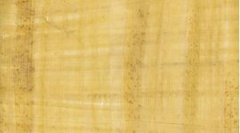 Timeline: Línia del temps