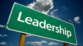 Timeline: AESD Leadership Development- Leadership Learning Logs