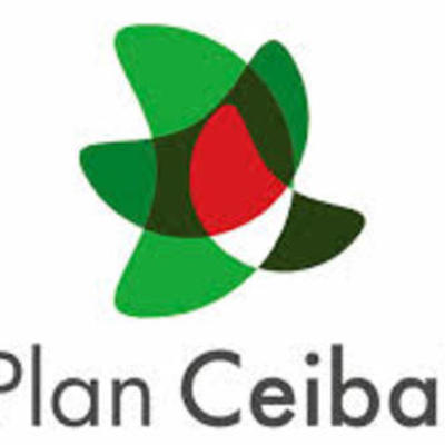 Timeline: Historia del Plan Ceibal