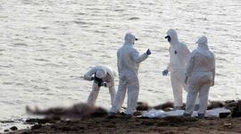 Timeline: Feminicidio en la Presa de Cointzio