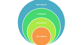 Timeline: TEORÍA ECOLOGICA