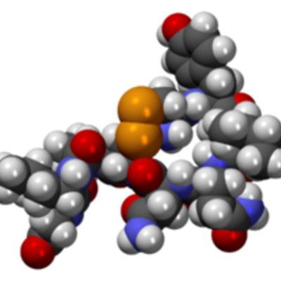 Timeline: Història de l'oxitocina