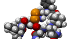 Timeline: Història de l'oxitocina