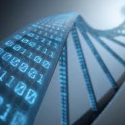 Timeline: A Genetika Története