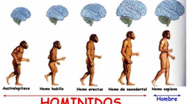 Timeline: EJE EVOLUTIVO