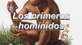 Timeline: Eje cronológico de los homínidos