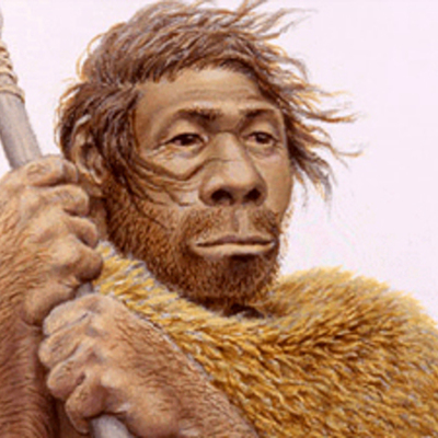 Timeline: Eje Cronológico Homínidos