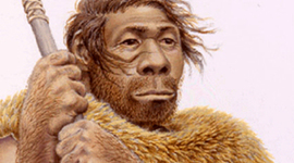 Timeline: Eje Cronológico Homínidos