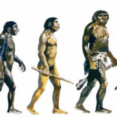 Timeline: La Evolución Biológica TIMANFAYA