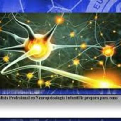 Timeline: HISTORIA DE LA NEUROPSICOLOGÌA