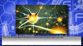 Timeline: HISTORIA DE LA NEUROPSICOLOGÌA