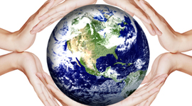 Timeline: TIMELINE PNUD