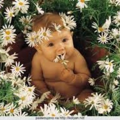 Timeline: mi biografia