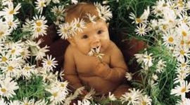 Timeline: mi biografia