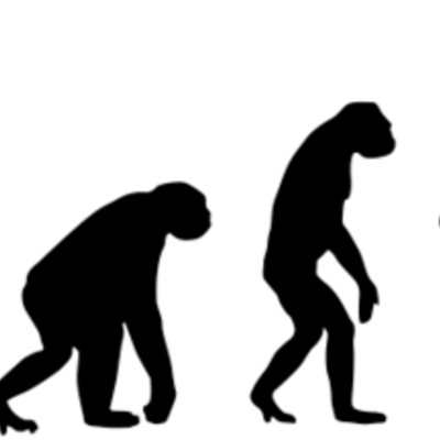 Timeline: Homínidos María